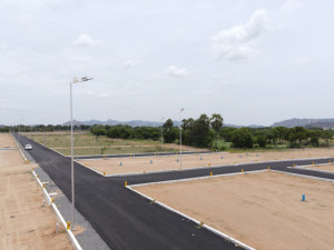 How Much Does Land Cost in Tiruvannamalai? A Detailed Price Guide