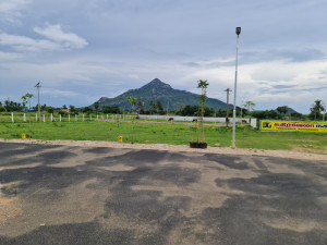 Essential Tips for First-Time Land Buyers in Tiruvannamalai