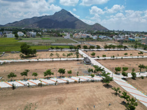 Small Plot vs. Large Plot in Tiruvannamalai: Which Is the Better Investment?