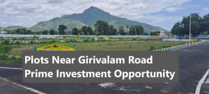 A scenic plot of land near Girivalam Road, Tiruvannamalai, advertised by Daga DG Developers. The area is well-maintained with clear plot demarcations, surrounded by lush greenery and a paved road. A majestic mountain rises in the background, enhancing the location’s natural beauty and spiritual significance. Ideal for investors seeking serene yet accessible real estate opportunities.