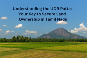 Scenic rural landscape in Tamil Nadu with green and golden agricultural fields, a row of coconut palm trees, and a mountain in the background under a blue sky. Overlaid text reads: "Understanding the UDR Patta: Your Key to Secure Landownership in Tamil Nadu.