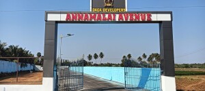 ANNAMALAI AVENUE